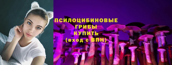 прущие грибы Алексеевка