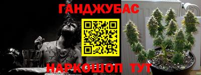 шишки Краснокаменск