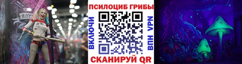Псилоцибиновые грибы Cubensis  Кохма 