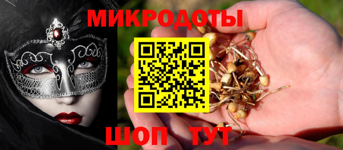 Псилоцибиновые грибы мицелий Кохма