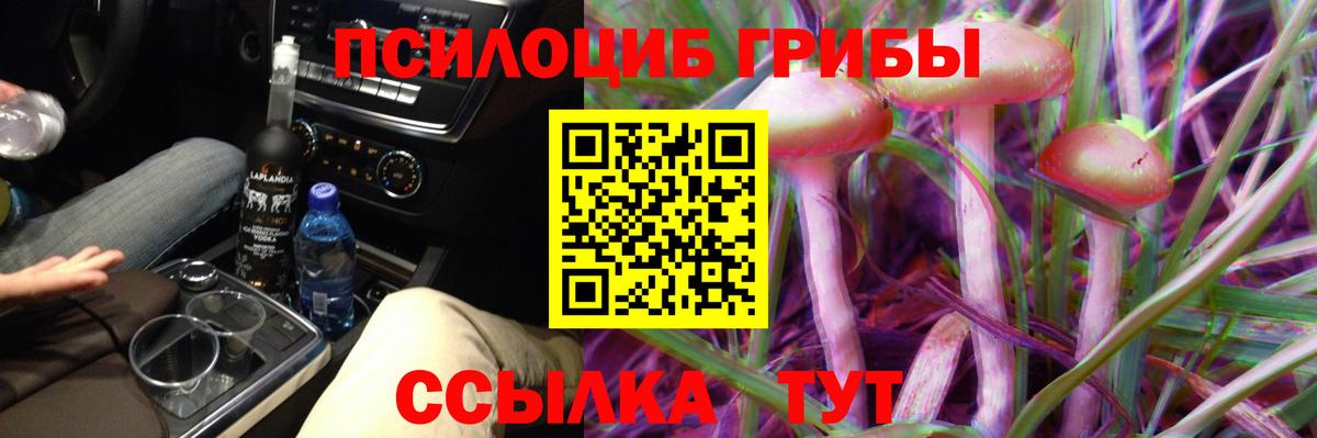 Кохма  Псилоцибиновые грибы Magic Shrooms  Вход с VPN  Псилоцибиновые грибы прущие грибы 