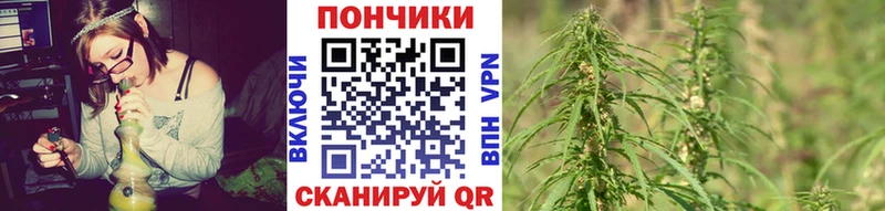 продажа наркотиков  Кохма  мега рабочий сайт  Бошки Шишки AK-47 